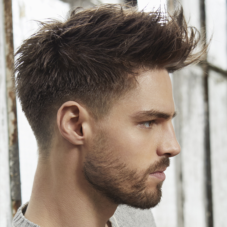 Fabio Salsa Coiffeur Expert Coupe Undercut 